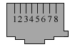 PINS03
