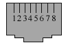 PINS03